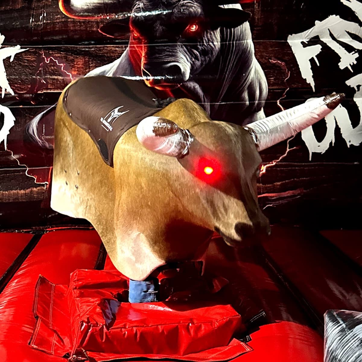 Classic package — tan mechanical bull with white wrapped horns in front of a black bull backdrop