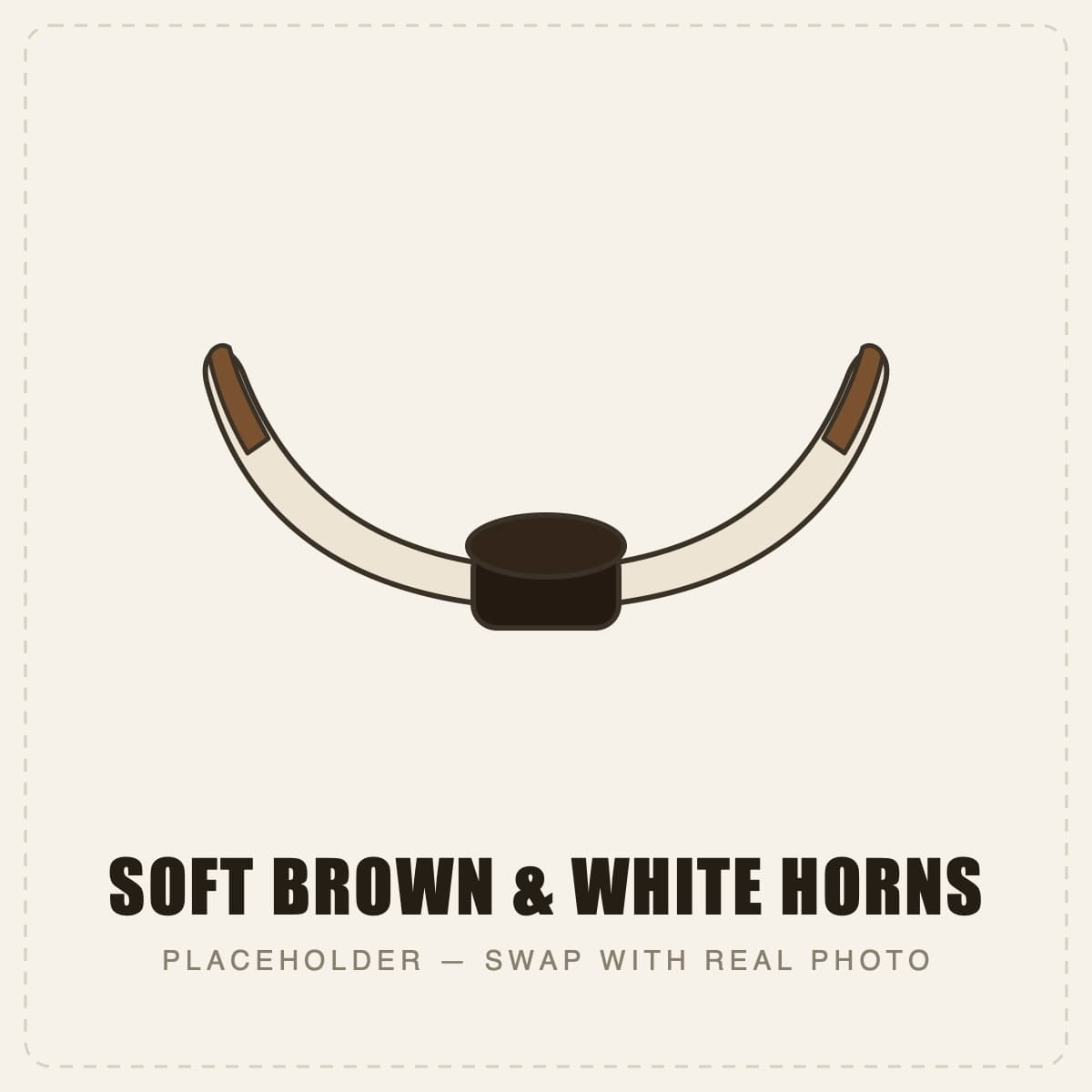 Soft Brown & White Horns